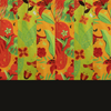 Natissy Birds